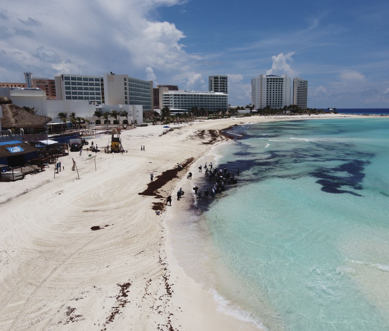 Sargassum Beaching Decreases on Quintana Roo's Shores