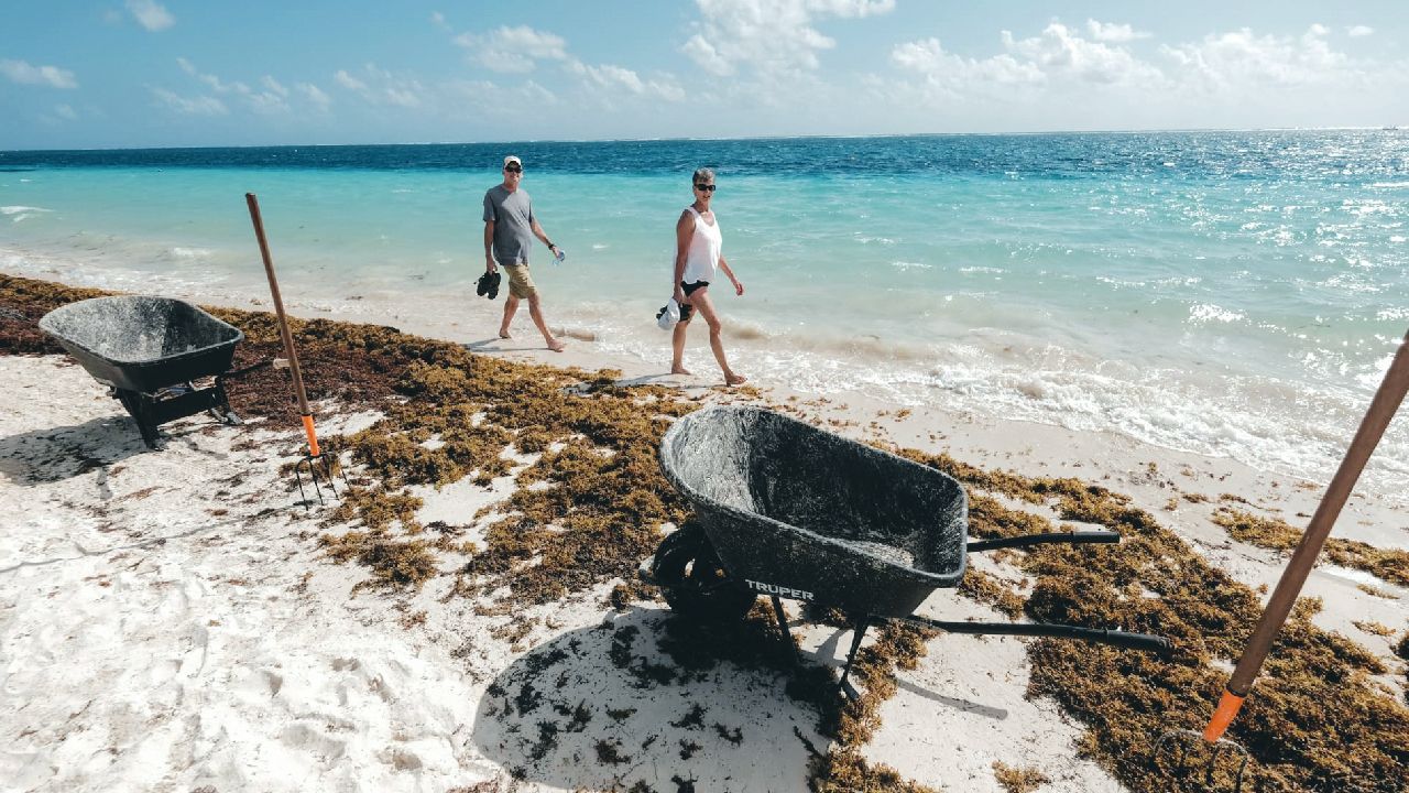 Tulum: The Destination That Turned Sargassum Into Opportunity