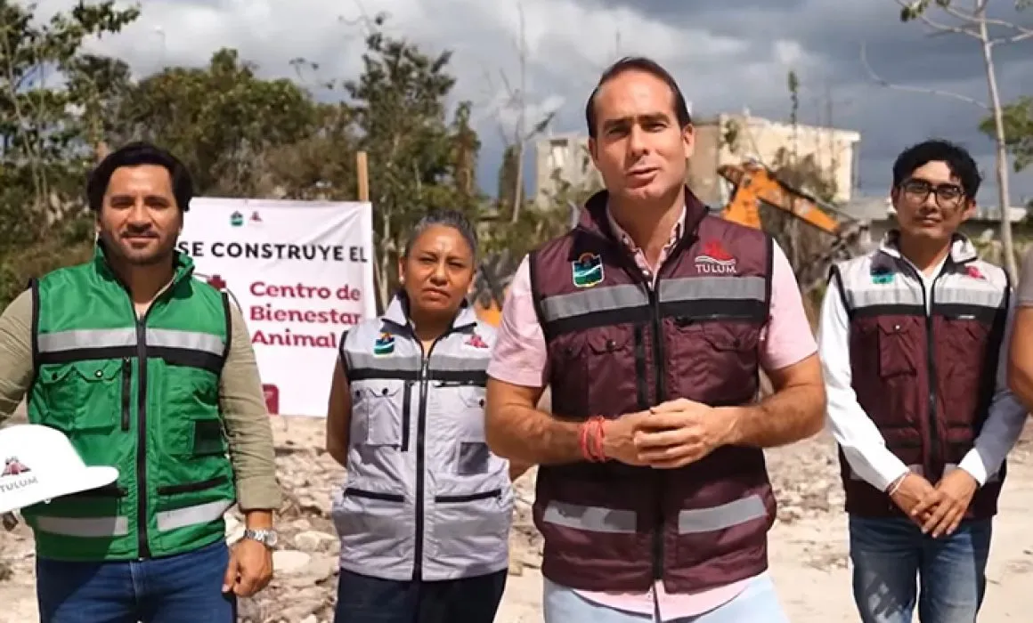 Tulum and Quintana Roo Strengthen Animal Protection With New Laws and Actions