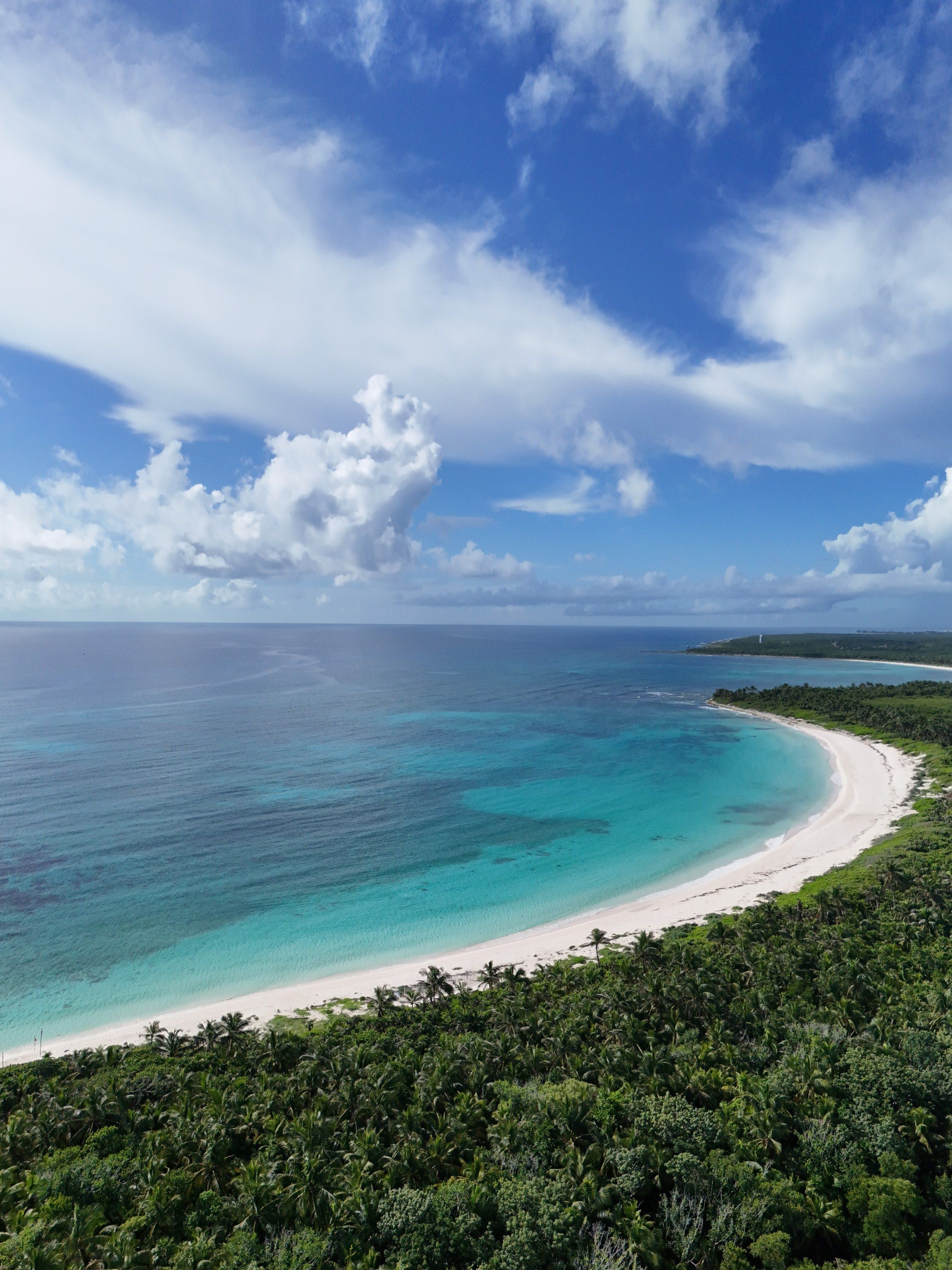 Aerial photograph of Xcacel beach, a white sand crescent backed by dense palm jungle