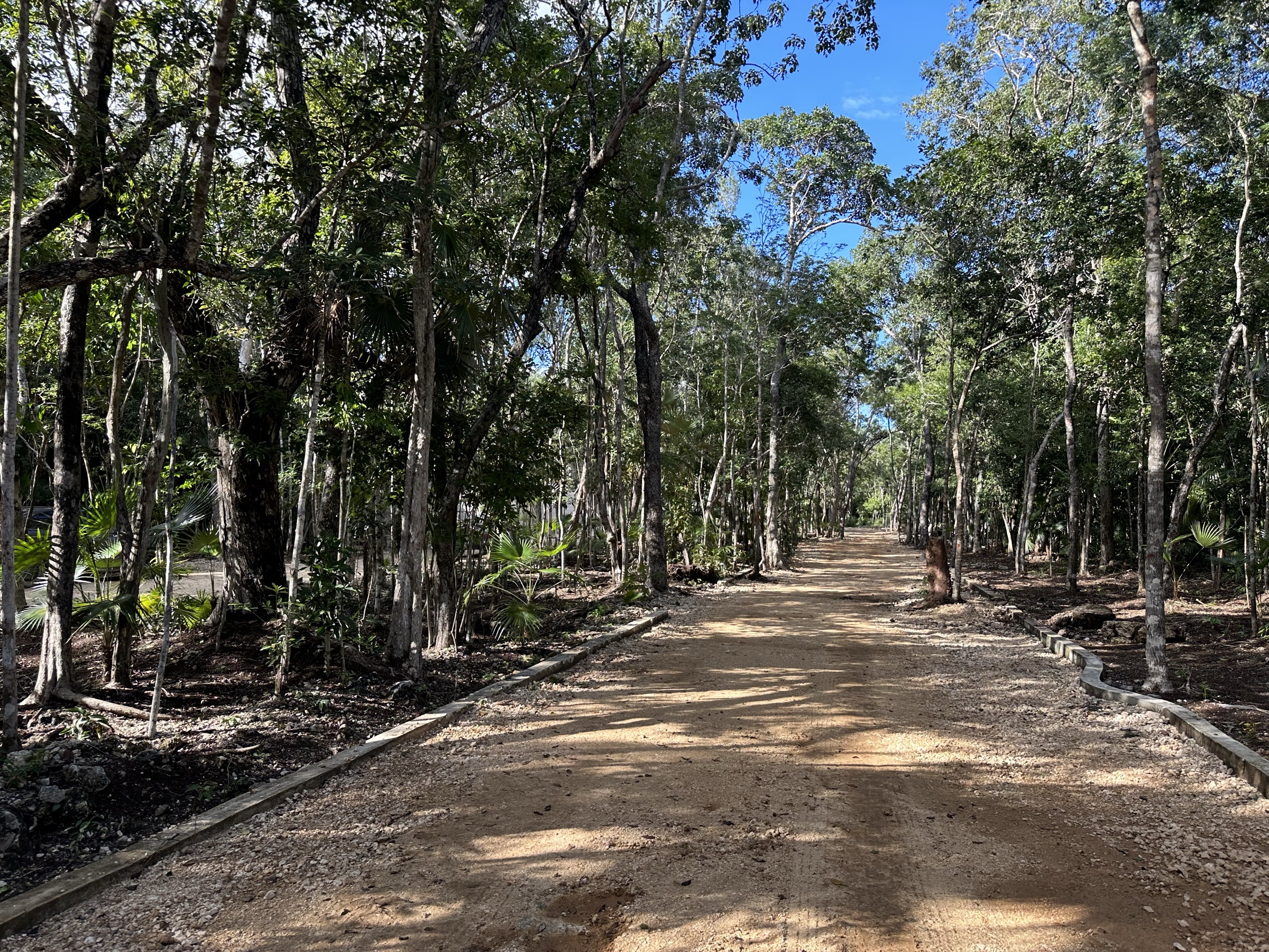 Unpaved interior road through the jungle at Axkaba, Tulum