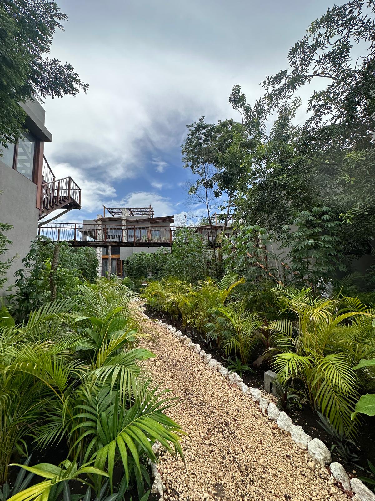 Elevated wooden walkway through the jungle canopy connecting units at Siwa Tulum, including B2-101