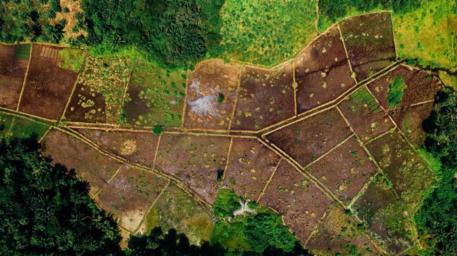 Aerial view of parceled land with visible lot traces